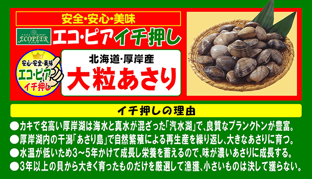 北海道･厚岸産 大粒あさり